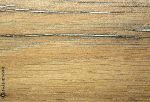 Natural oak, aged wood texture with a distinctive pattern, close-up.