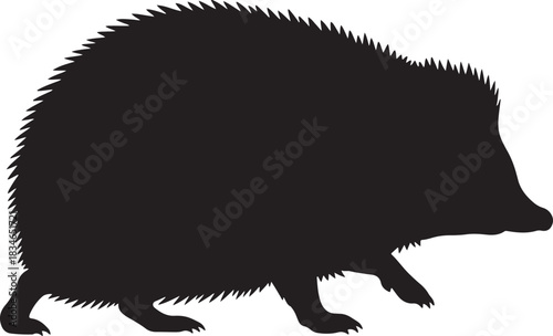Hedgehog silhouette. detailed vector illustration of a wild spiny animal, isolated on a white background.