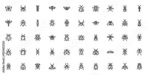 Insects icon set. Vector illustration. Minimalist bu icons pack. Includes buttrfly, spider, bee, ant, moquito, beetle, dragonfly, corpion and more. Editablestroke.