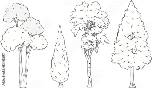 Modern hand sketched woodland nature landscape object vector