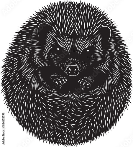 Stylized black and white illustration of a hedgehog curled up, looking forward, isolated against a clean background