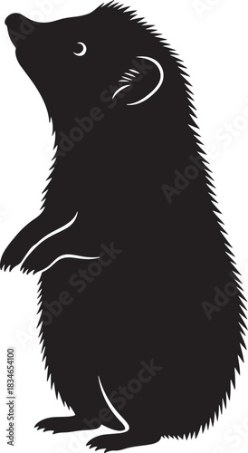 Minimalist black hedgehog silhouette standing on hind legs, looking up, isolated on white background, sharp vector illustration