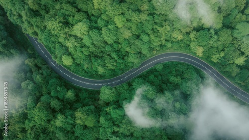 Aerial view of a winding road through a lush green forest with clouds