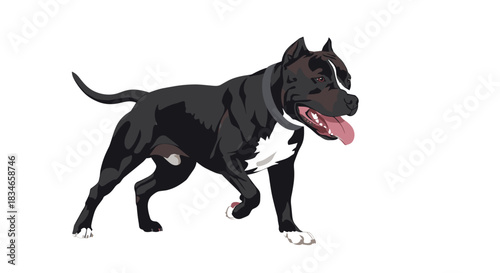 Muscular black and white pitbull terrier walking with an alert and powerful stance in a dynamic and detailed comic art style.