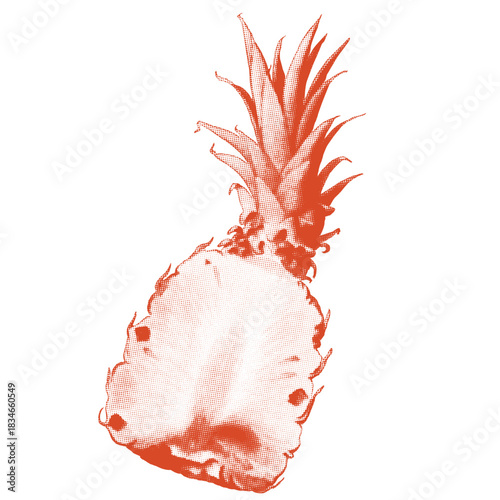 Halftone illustration of a sliced pineapple