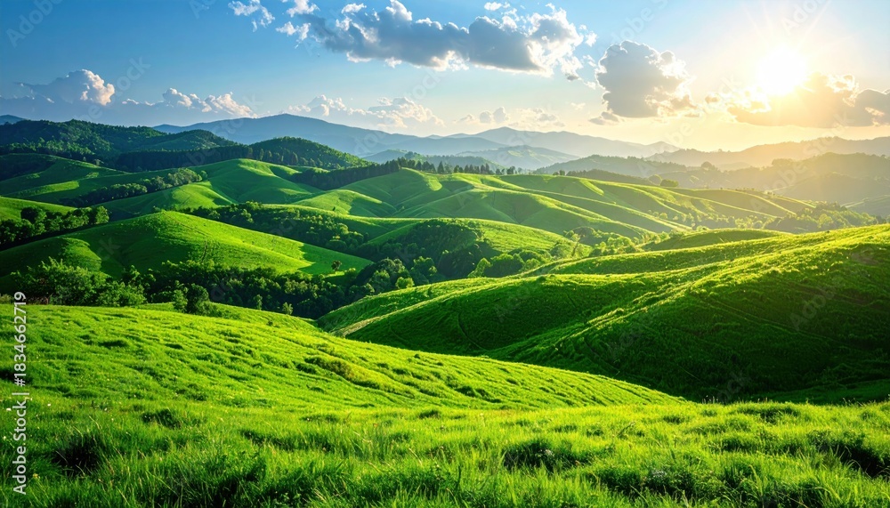 Fototapeta premium Green Hills in Sunlight.