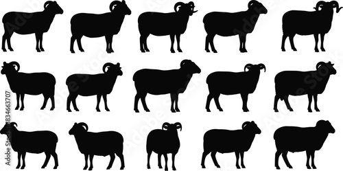 Black Sheep Silhouettes Vector Set for Farm Animal Puzzle, Educational Activity, Visual Discrimination, Kids Game, and Icon Design