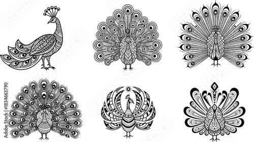 Elegant black and white peacock illustrations with ornamental feathers, perfect for decorative art, coloring pages, and vector design inspiration.