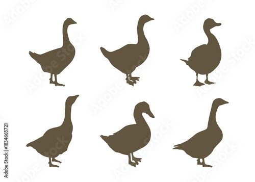 Duck Silhouette Vector Bundle  farm, Wildlife, and Animal Design Elements