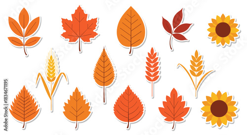 A collection of colorful autumn leaves and sunflowers in varying shapes and sizes.