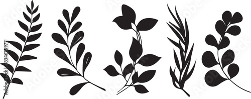 Simple black silhouette set of botanical leaves, branches, and herbs for wedding decoration isolated PNG with Transparent Background