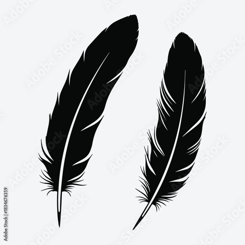 Ethereal Bird Feather Illustration Pack