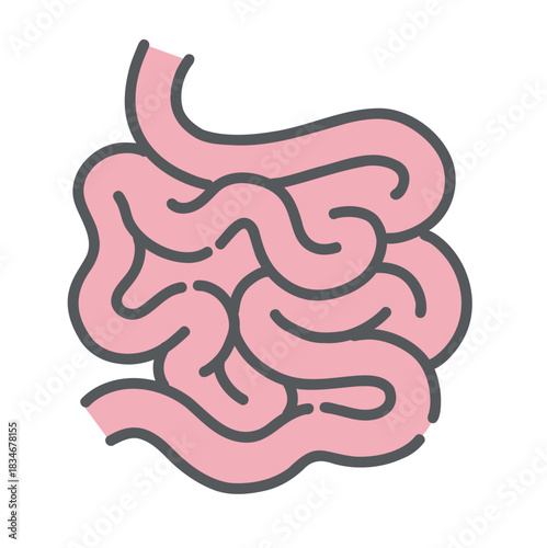 小腸（しょうちょう）のイラスト