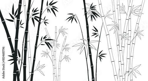 Artistic black and white illustration of bamboo plants with solid silhouettes and delicate outlines, capturing the serene beauty of Asian nature.