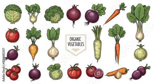 A colorful collection of various fresh organic vegetables and root crops, presented in a vintage hand-drawn style with an \.