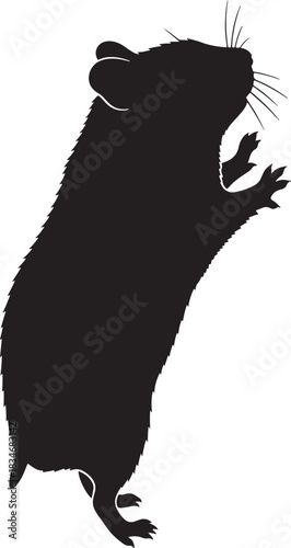 Silhouette vector illustration of a small rodent standing on hind legs, with whiskers, profile view, simple and clean graphic art