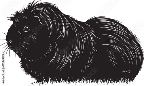 Detailed black silhouette illustration of a guinea pig, side profile, isolated against a pristine white background