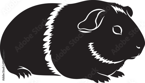 Guinea pig silhouette black vector graphic illustration of a domestic rodent pet animal cavy on white background