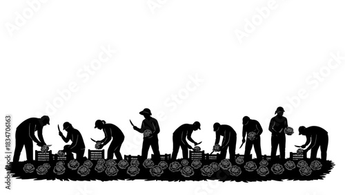 Silhouette of workers harvesting produce from a bountiful field, symbolizing agricultural labor and abundance