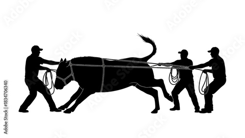 Three men pulling a bull with ropes in a silhouette style, symbolizing teamwork and strength