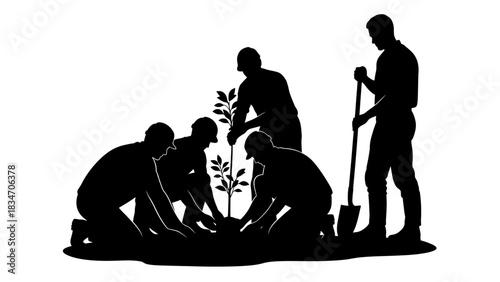 People planting a tree in a garden, silhouette of group activity