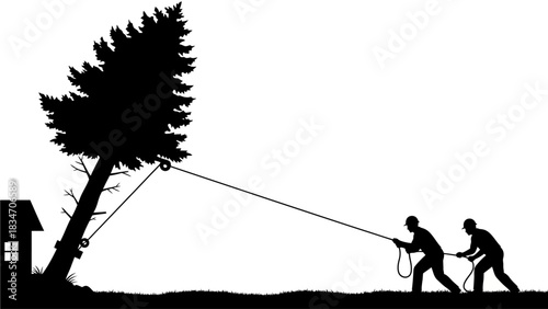 Teamwork and coordination used to safely fell a large tree near a house with ropes and pulleys