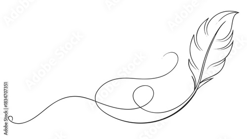 Elegant feather drawing with a flowing line, perfect for adding a touch of nature and artistry to your designs or invitations with delicate minimalism