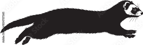 Running ferret stylized black and white vector graphic illustration depicting movement and agility of the sleek animal