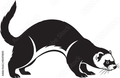 Ferret black and white silhouette illustration. mustelid mammal, icon design for nature, pets, or wildlife art