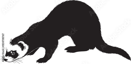Ferret silhouette illustration, elegant vector graphic of a crouching domesticated polecat on a clean white background.