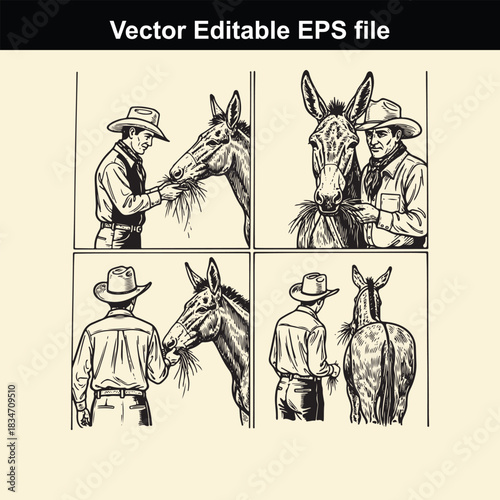 vector editable eps file showing a fourpanel illustration of a cowboy feeding and interacting with a horse or mule in a vintage, sketchlike style