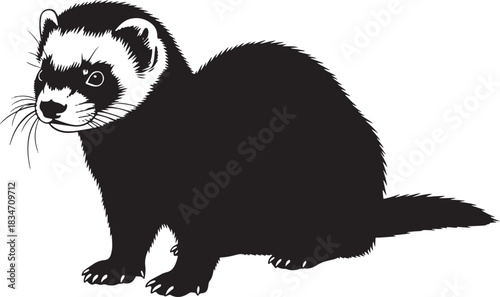 Stylized ferret vector illustration, graphic depiction of mustelid mammal, side view, iconic markings, isolated design.