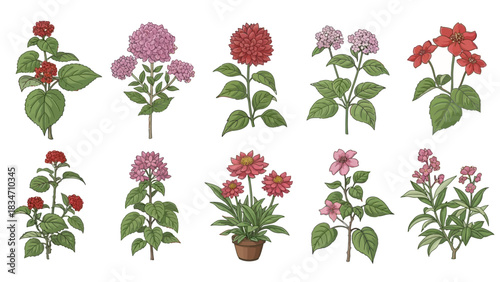 Vibrant vintage floral design featuring charming botanical illustrations for elegant invitations and unique stationery projects, bringing a touch of nature indoors