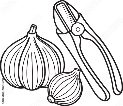 Garlic bulbs with garden pruner outline illustration for culinary preparation and gardening themed creative design