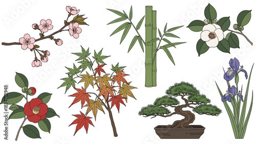 Create stunning Japanese garden designs with these beautiful bonsai, bamboo, iris, and flowering cherry blossom elements for your next project!