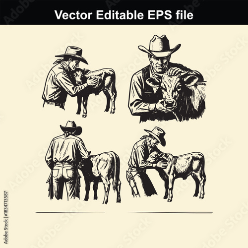 collection of four vintage style vector illustrations depicting cowboys or ranchers interacting closely with calves, showing care and handling of livestock