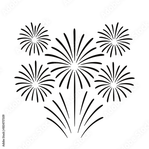 Elegant Black and White Fireworks Celebration Design for Festive Events