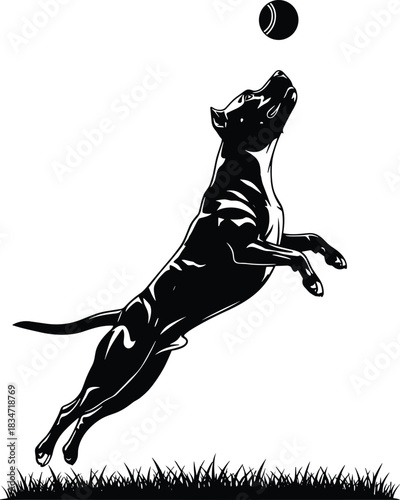 Black monochrome vector illustration of a powerful Pitbull dog leaping high in the air to catch a ball, depicting dog agility, exercise, pet training, and energetic outdoor play isolated 