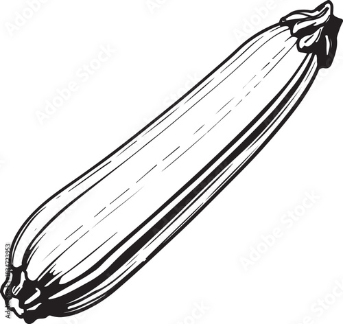 Zucchini black and white colors clipart