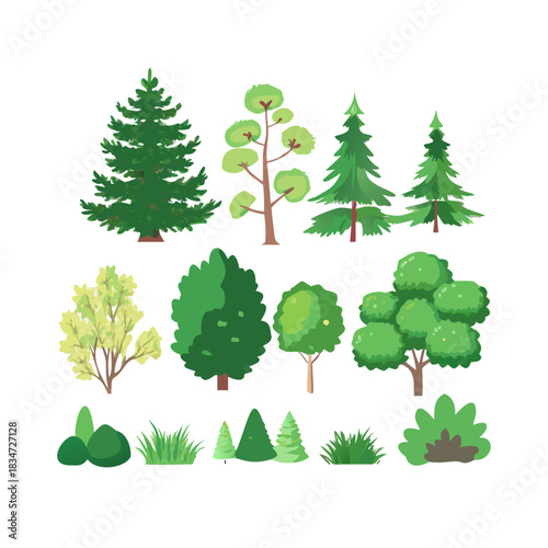 Set of various trees and shrubs, conifers and deciduous plants on a white background. Vector illustration
