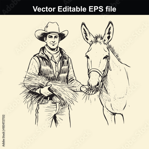 vector editable eps file illustration of a cowboy or farmer in a hat and vest feeding hay to a donkey or mule with detailed line art style