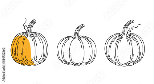 A set of three pumpkin illustrations in a hand-drawn doodle style with one partially colored in orange for a creative touch.