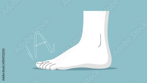 Close up Illustration of Human Foot Showing Pressure Impact and Stress on Toes