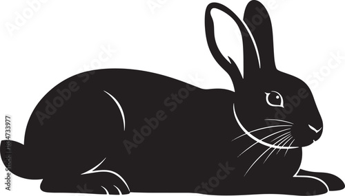 Silhouette of a fluffy rabbit isolated on