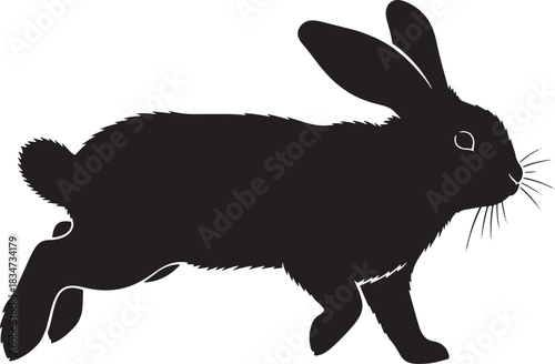 A rabbit wearing a jacket isolated on, in silhouette