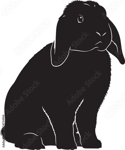 Black rabbit lying down isolated on, side view