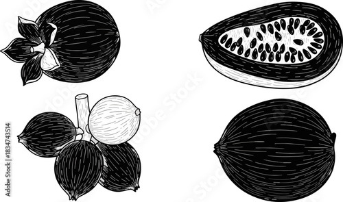 Black and White Line Drawing of Fruit Including Passion Fruit and Gooseberry