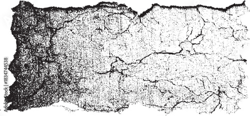 Dirty or dust film grain speck grit grunge overlay on white background grain noise Speckle grain dot  white and black wall background. Abstract black and white gritty grunge background.