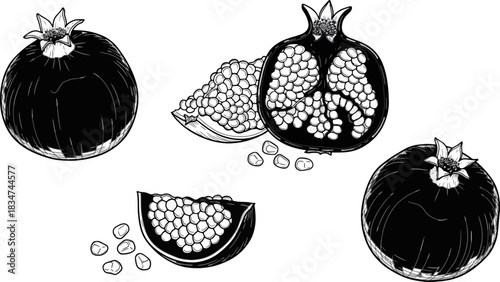 Black and White Illustration of Pomegranates with Seeds on White Background