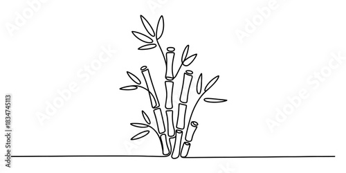Continuous line drawing of vibrant bamboo shoots and leaves, a minimalist design symbolizing nature, growth, tranquility, and asian culture Vector, illustration